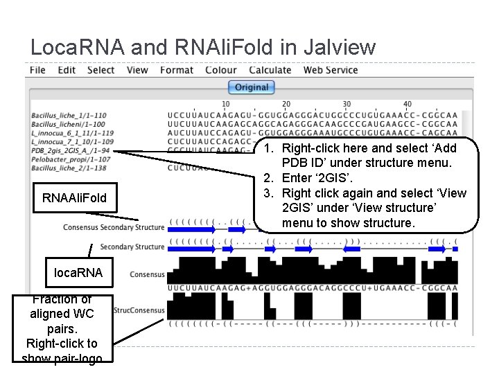 Loca. RNA and RNAli. Fold in Jalview RNAAli. Fold loca. RNA Fraction of aligned Loca. RNA and RNAli. Fold in Jalview RNAAli. Fold loca. RNA Fraction of aligned