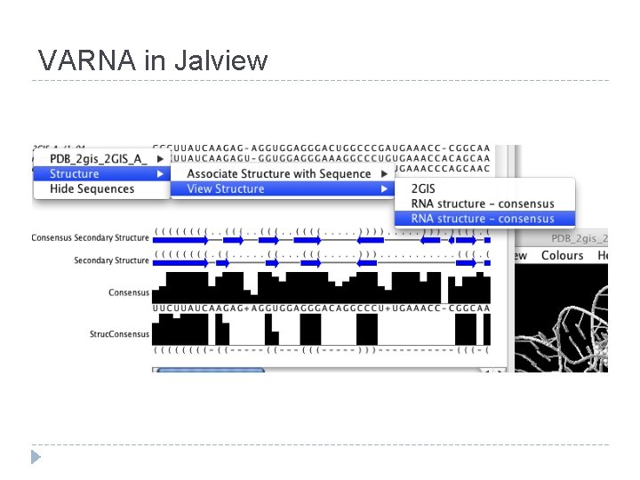 VARNA in Jalview VARNA in Jalview