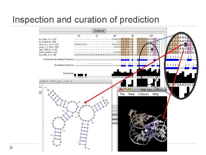 Inspection and curation of prediction 