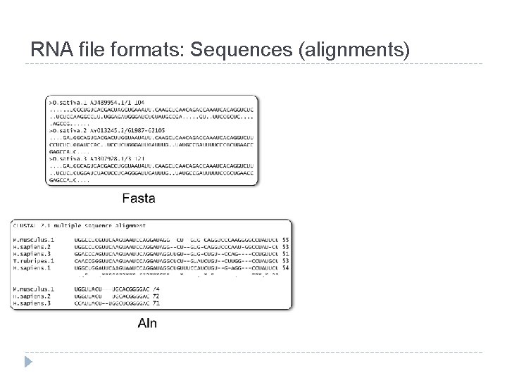 RNA file formats: Sequences (alignments) 