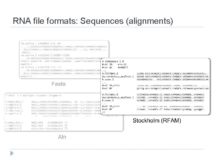 RNA file formats: Sequences (alignments) RNA file formats: Sequences (alignments)