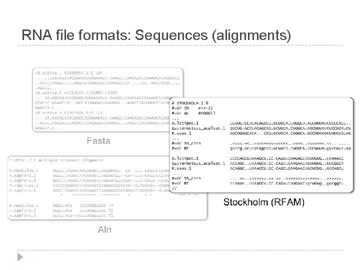 RNA file formats: Sequences (alignments) 