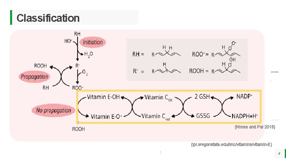 Classification Based on: Activity: • Enzymatic • Non enzymatic (vitamin C, vitamin E, plant