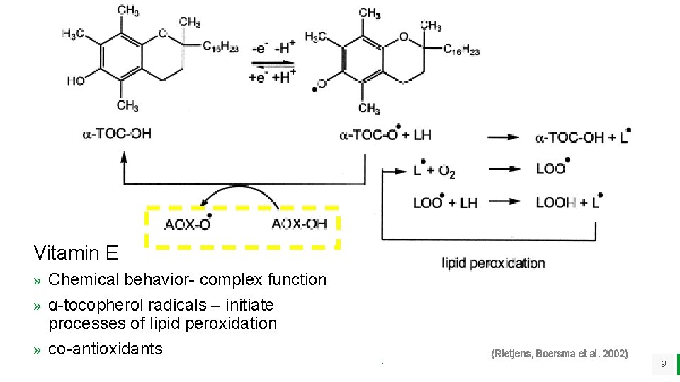 Vitamin E » Chemical behavior- complex function » α-tocopherol radicals – initiate processes of