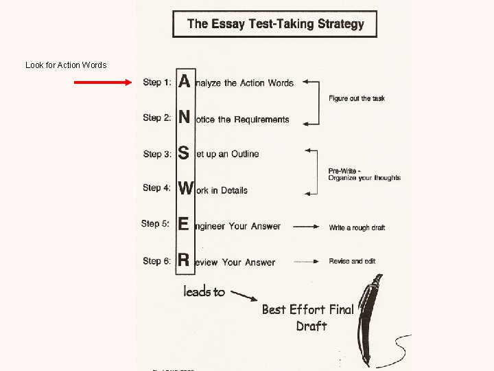 Look for Action Words 