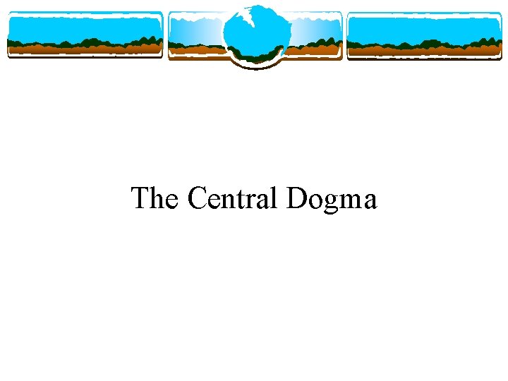 The Central Dogma 