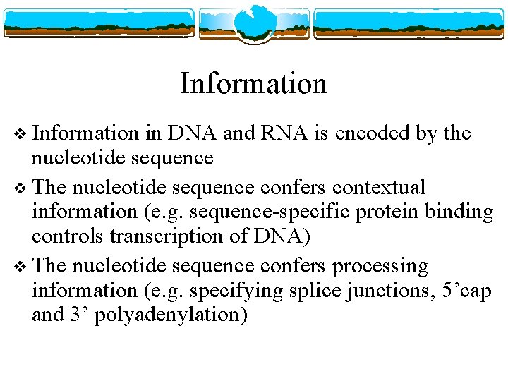 Information v Information in DNA and RNA is encoded by the nucleotide sequence v