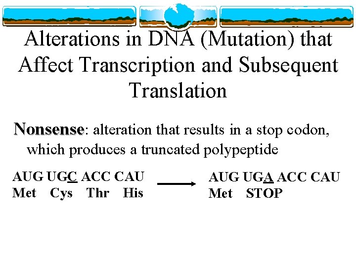 Alterations in DNA (Mutation) that Affect Transcription and Subsequent Translation Nonsense: alteration that results