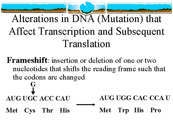 Alterations in DNA (Mutation) that Affect Transcription and Subsequent Translation Frameshift: insertion or deletion