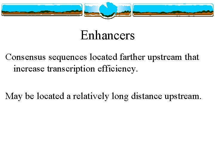 Enhancers Consensus sequences located farther upstream that increase transcription efficiency. May be located a