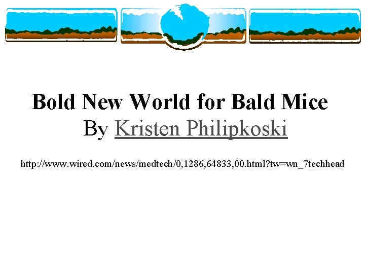 Bold New World for Bald Mice By Kristen Philipkoski http: //www. wired. com/news/medtech/0, 1286,