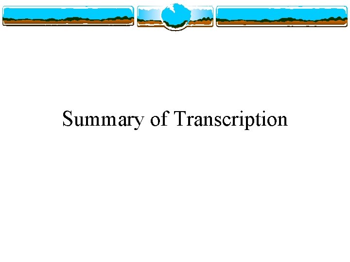 Summary of Transcription 