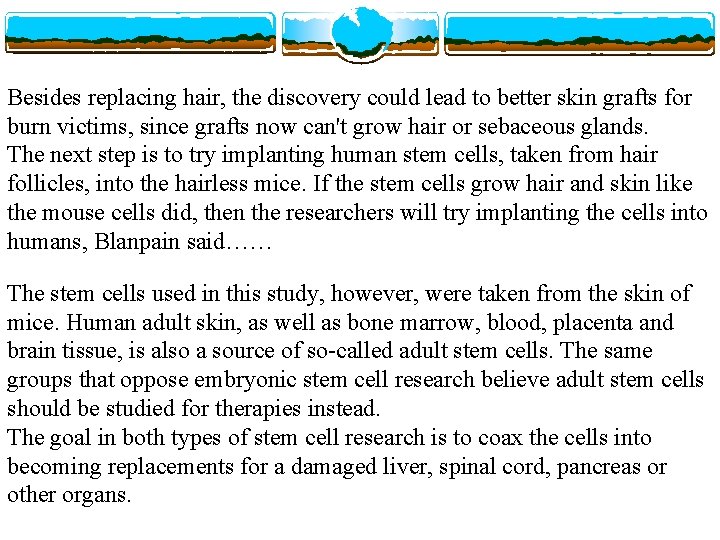 Besides replacing hair, the discovery could lead to better skin grafts for burn victims,