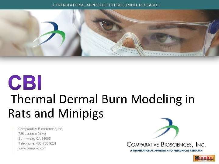 A TRANSLATIONAL APPROACH TO PRECLINICAL RESEARCH Thermal Dermal Burn Modeling in Rats and Minipigs