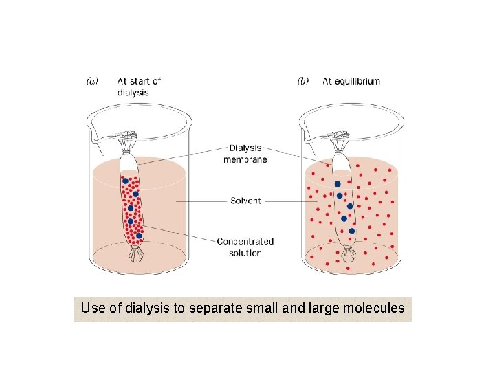 Use of dialysis to separate small and large molecules 