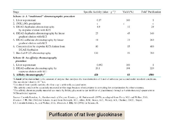 Purification of rat liver glucokinase 