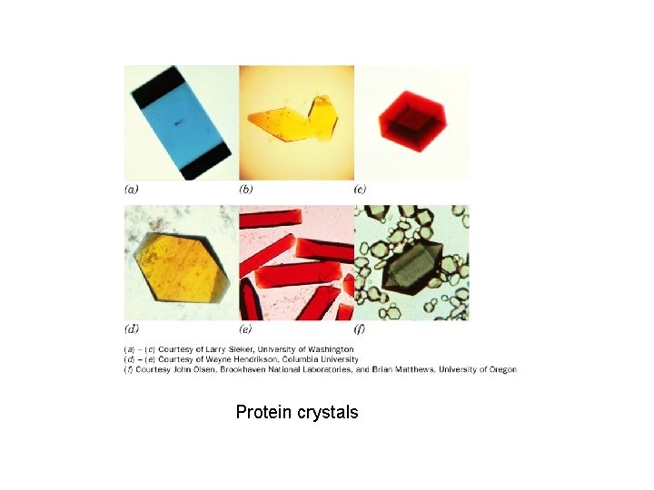 Protein crystals 