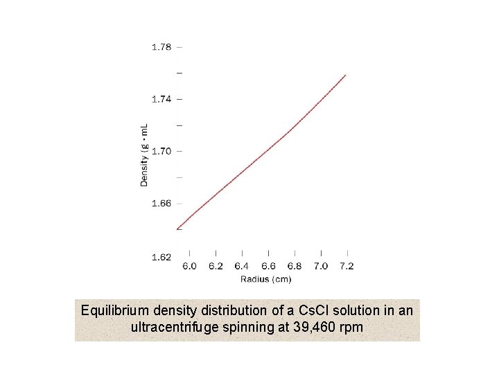 Equilibrium density distribution of a Cs. Cl solution in an ultracentrifuge spinning at 39,