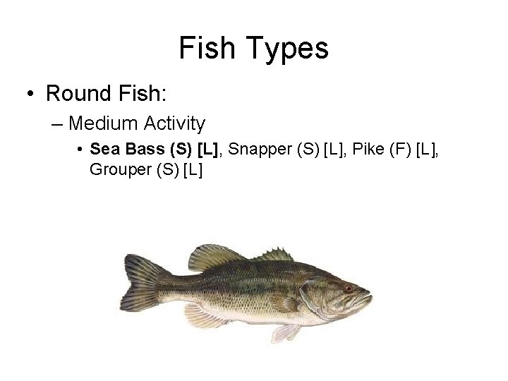 Fish Types • Round Fish: – Medium Activity • Sea Bass (S) [L], Snapper