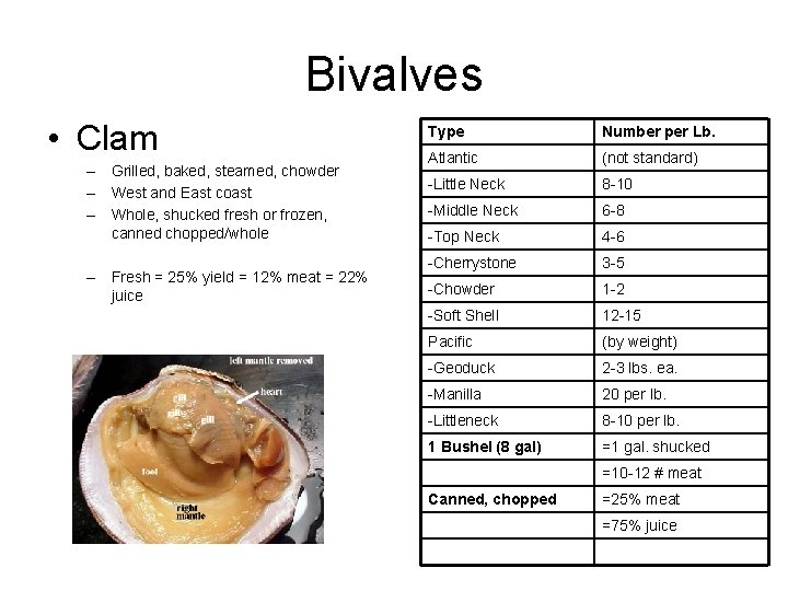 Bivalves • Clam – Grilled, baked, steamed, chowder – West and East coast –