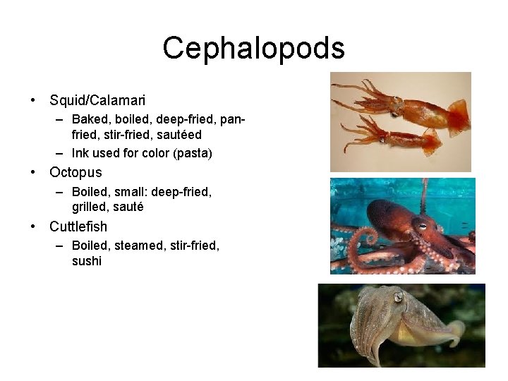 Cephalopods • Squid/Calamari – Baked, boiled, deep-fried, panfried, stir-fried, sautéed – Ink used for