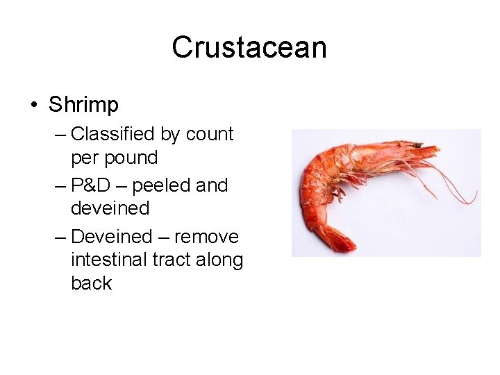 Crustacean • Shrimp – Classified by count per pound – P&D – peeled and