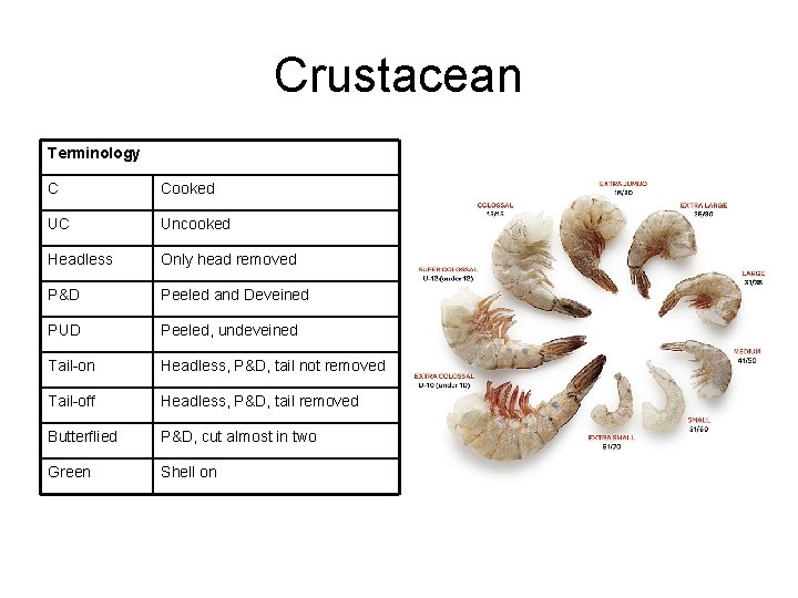 Crustacean Terminology C Cooked UC Uncooked Headless Only head removed P&D Peeled and Deveined