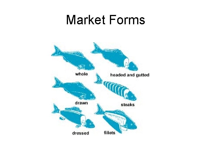 Market Forms 