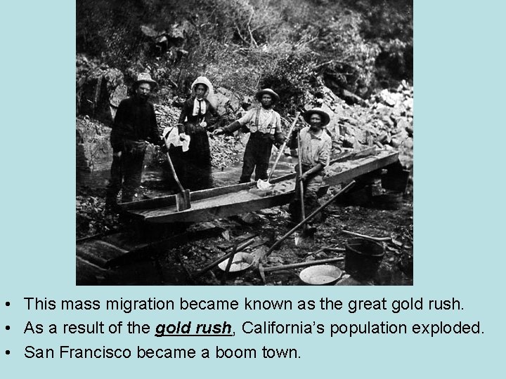  • This mass migration became known as the great gold rush. • As