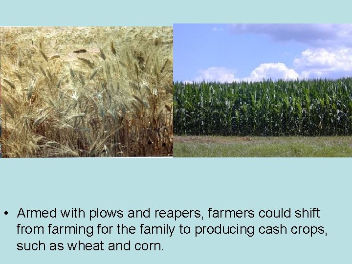  • Armed with plows and reapers, farmers could shift from farming for the