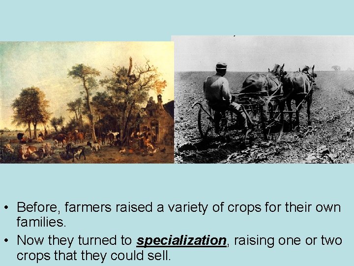  • Before, farmers raised a variety of crops for their own families. •