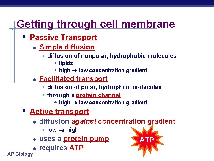 Getting through cell membrane § Passive Transport u Simple diffusion § diffusion of nonpolar,