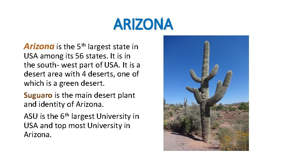 ARIZONA Arizona is the 5 th largest state in USA among its 56 states.