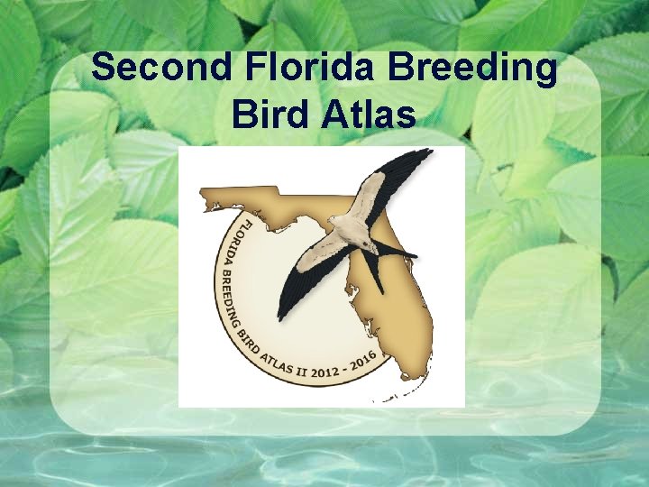 Second Florida Breeding Bird Atlas 