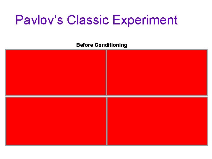 Pavlov’s Classic Experiment Before Conditioning UCS (food in mouth) UCR (salivation) During Conditioning Neutral