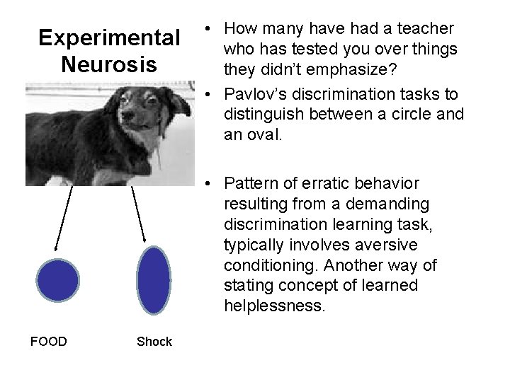 Experimental Neurosis • How many have had a teacher who has tested you over