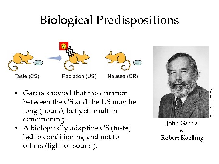 Biological Predispositions Courtesy of John Garcia • Garcia showed that the duration between the