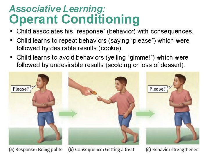 Associative Learning: Operant Conditioning § Child associates his “response” (behavior) with consequences. § Child