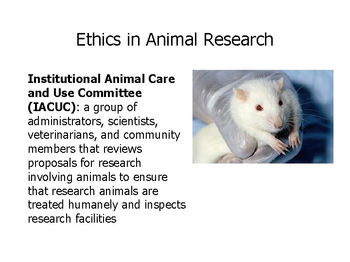 Ethics in Animal Research Institutional Animal Care and Use Committee (IACUC): a group of