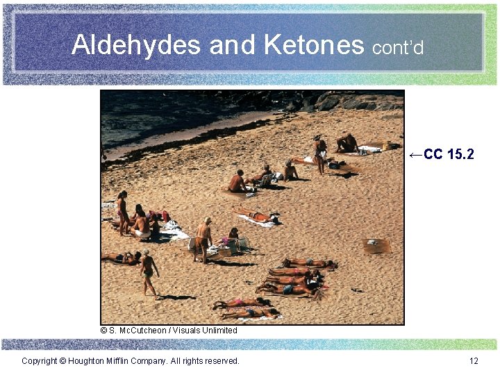 Aldehydes and Ketones cont’d ←CC 15. 2 © S. Mc. Cutcheon / Visuals Unlimited