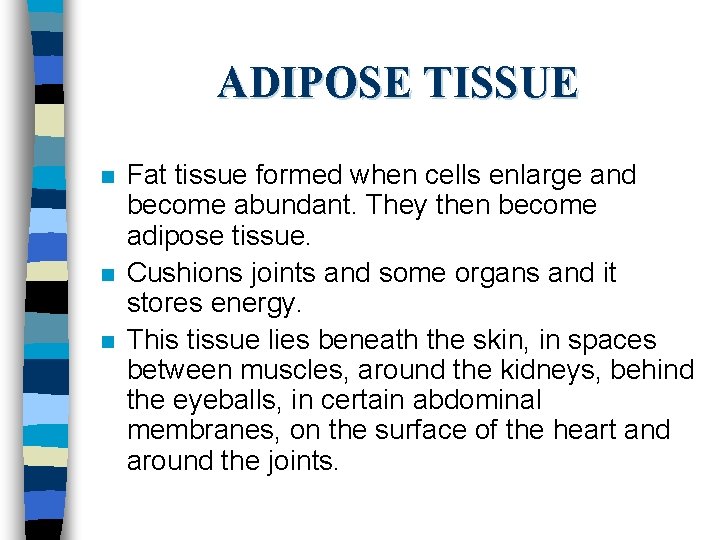 ADIPOSE TISSUE n n n Fat tissue formed when cells enlarge and become abundant.