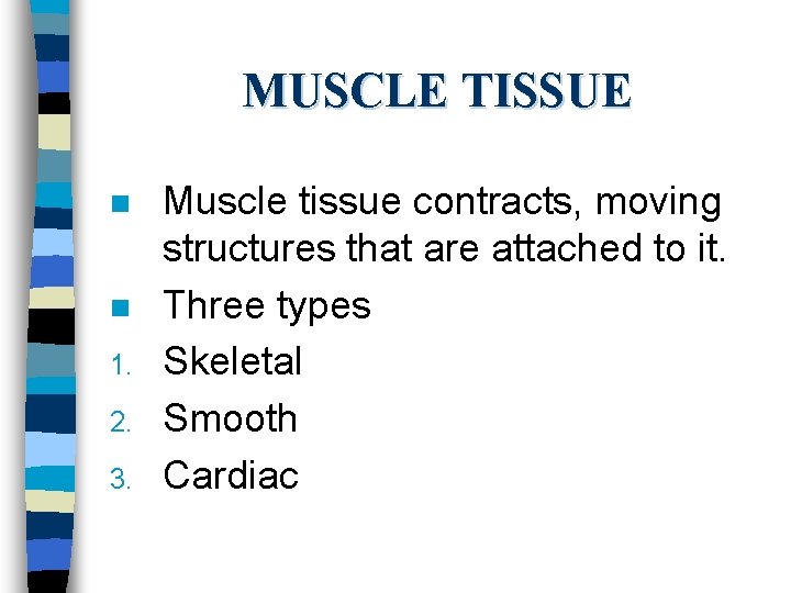 MUSCLE TISSUE n n 1. 2. 3. Muscle tissue contracts, moving structures that are