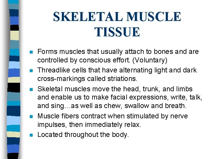 SKELETAL MUSCLE TISSUE n n n Forms muscles that usually attach to bones and