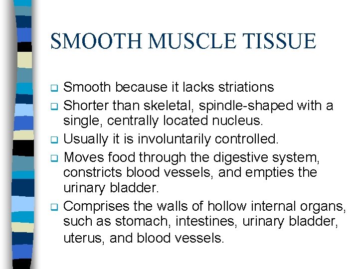 SMOOTH MUSCLE TISSUE q q q Smooth because it lacks striations Shorter than skeletal,