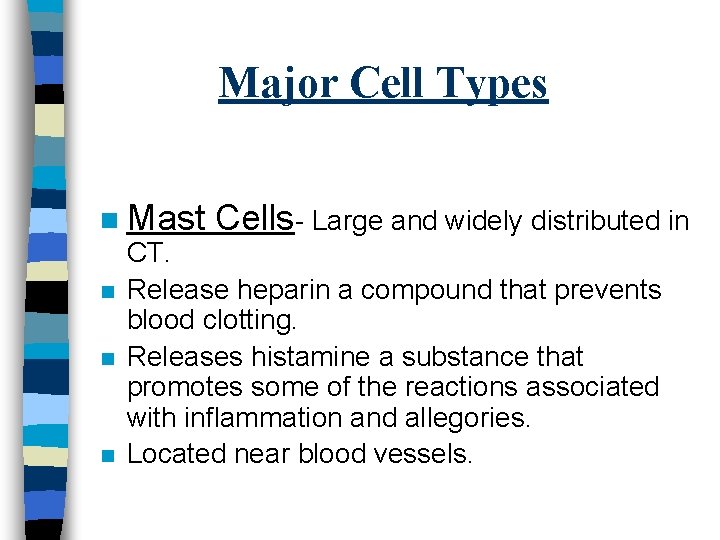 Major Cell Types n n Mast Cells- Large and widely distributed in CT. Release