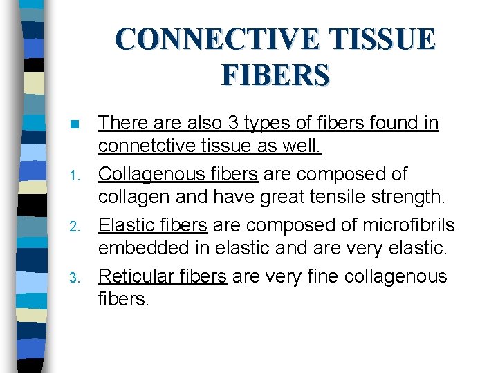 CONNECTIVE TISSUE FIBERS n 1. 2. 3. There also 3 types of fibers found
