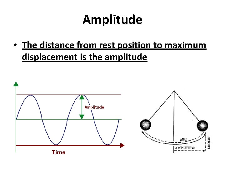 Amplitude • The distance from rest position to maximum displacement is the amplitude 