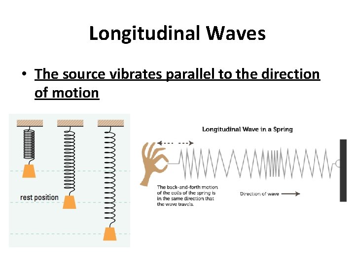 Longitudinal Waves • The source vibrates parallel to the direction of motion 