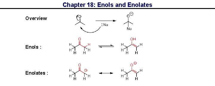 Chapter 18: Enols and Enolates Overview Enols : Enolates : 