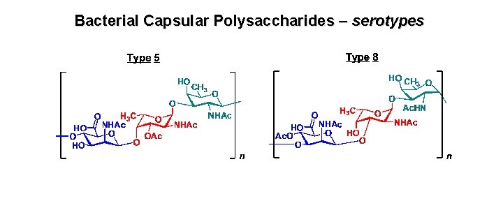 Bacterial Capsular Polysaccharides – serotypes 